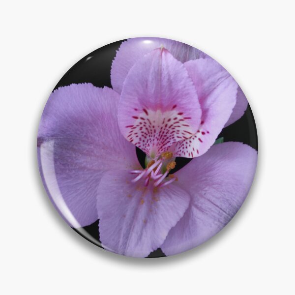 Item preview, alstroemeria flower designed and sold by IgorKovalenko.