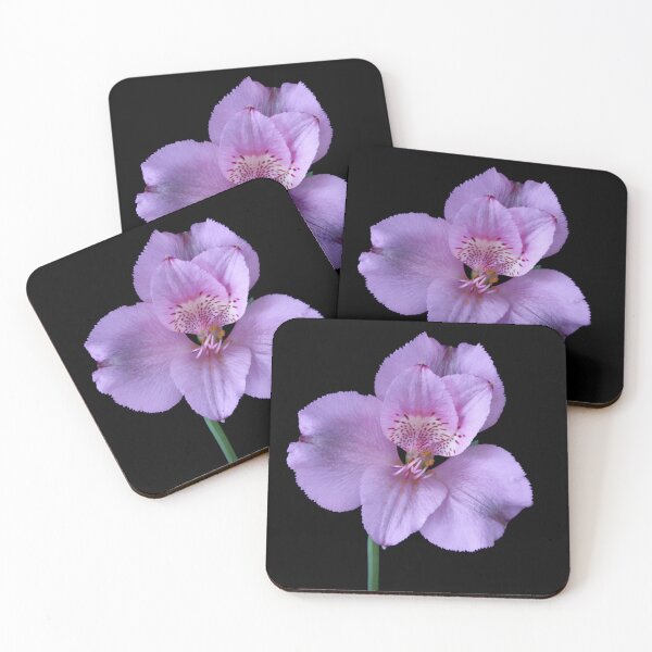 Item preview, alstroemeria flower designed and sold by IgorKovalenko.