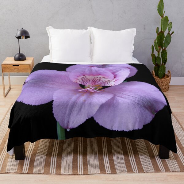 Item preview, alstroemeria flower designed and sold by IgorKovalenko.