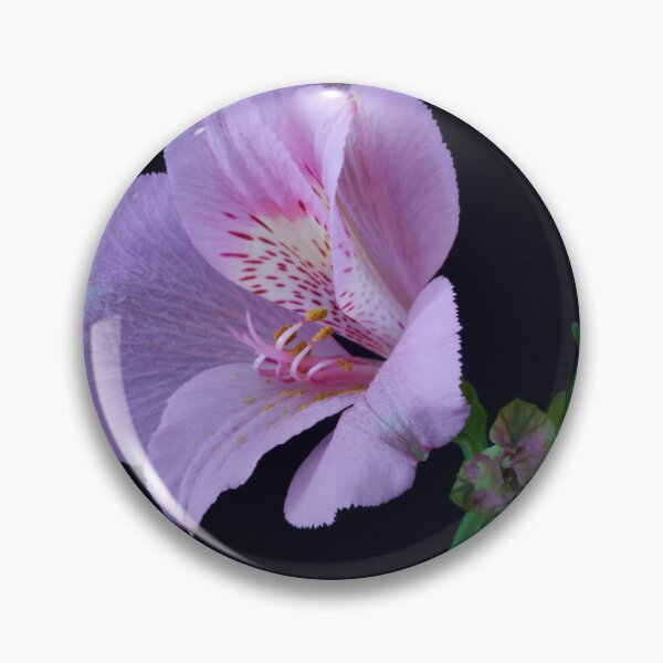 Item preview, alstroemeria flower designed and sold by IgorKovalenko.