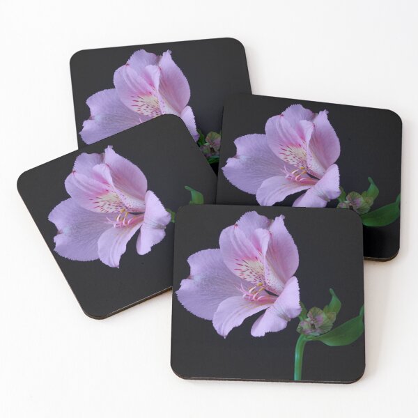 Item preview, alstroemeria flower designed and sold by IgorKovalenko.
