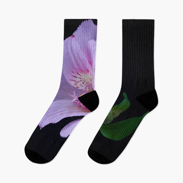 Item preview, alstroemeria flower designed and sold by IgorKovalenko.