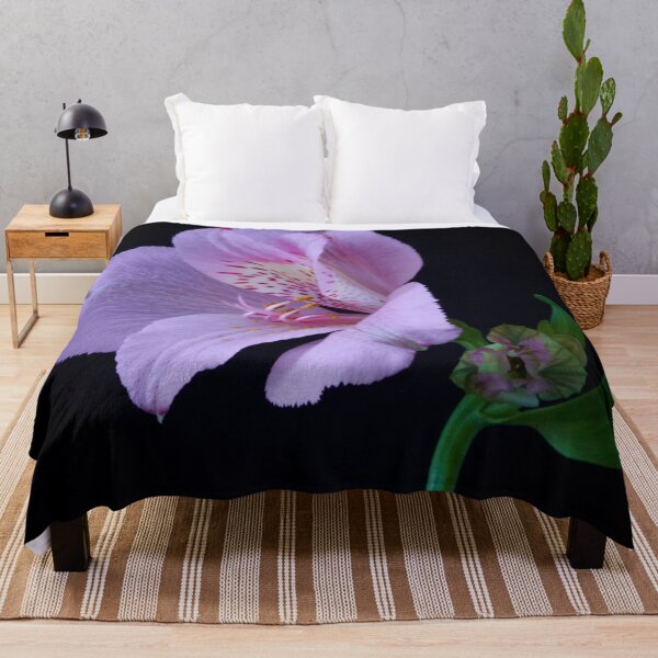 Item preview, alstroemeria flower designed and sold by IgorKovalenko.