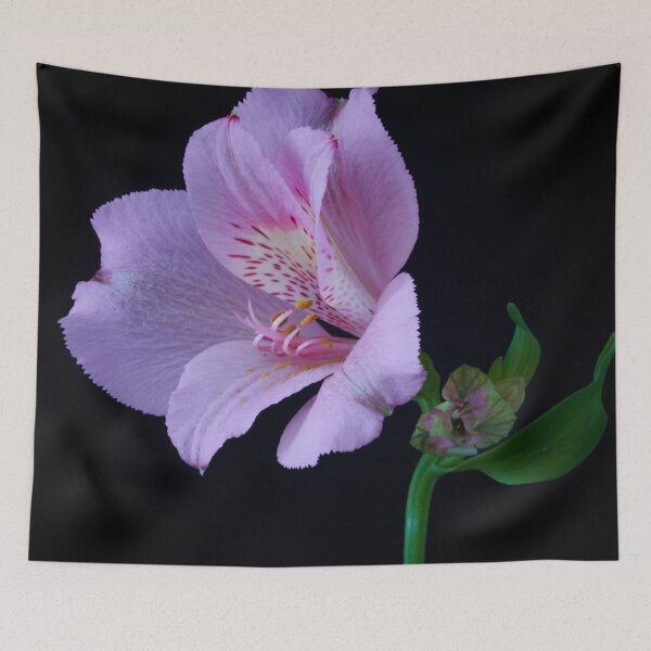 Item preview, alstroemeria flower designed and sold by IgorKovalenko.