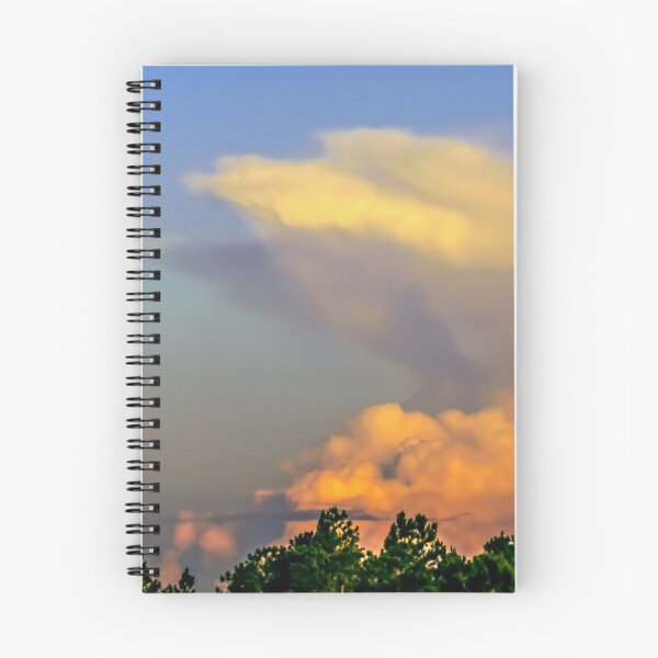 Item preview, Clouds formations as an eagle designed and sold by Zina Stromberg.