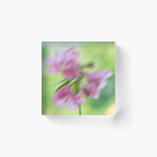 Item preview, alstroemeria flower designed and sold by IgorKovalenko.