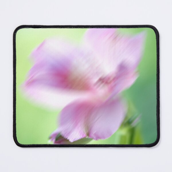 Item preview, alstroemeria flower designed and sold by IgorKovalenko.