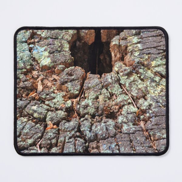 Item preview, cross section of the tree designed and sold by IgorKovalenko.
