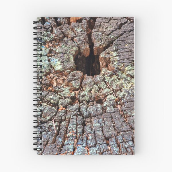 Item preview, cross section of the tree designed and sold by IgorKovalenko.