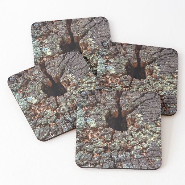 Item preview, slice of wood designed and sold by IgorKovalenko.