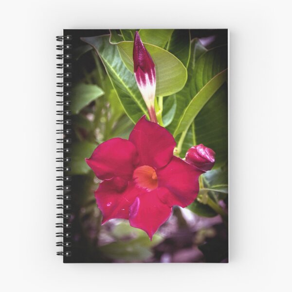 Item preview, Red Flower and bud Leith Park Victoria 20180112 2038  designed and sold by Fred Mitchell.