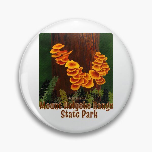 Item preview, Mount Holyoke Range State Park, Massachusetts designed and sold by MMc Buck.