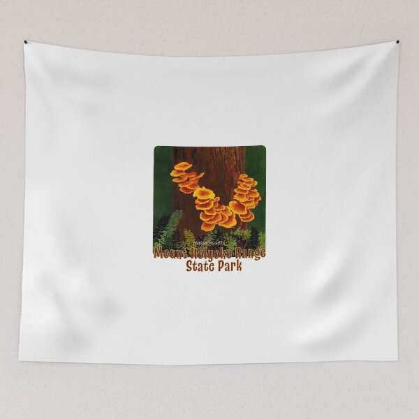 Item preview, Mount Holyoke Range State Park, Massachusetts designed and sold by MMc Buck.