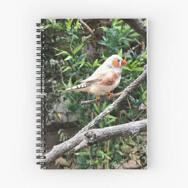 Item preview, Zebra Finch on branch designed and sold by phatbird.