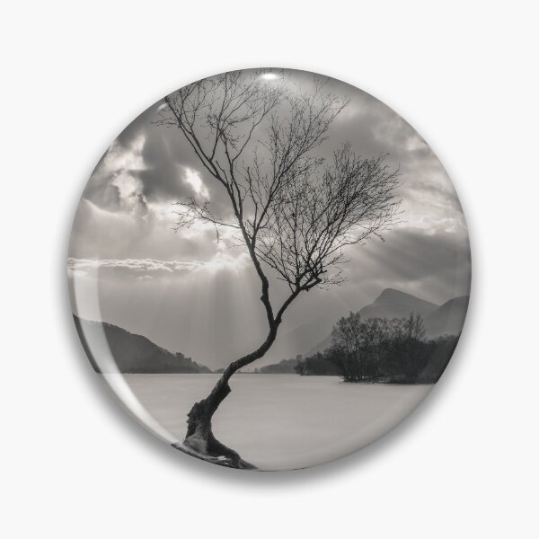 Item preview, The Lonely Tree designed and sold by David Bowman.