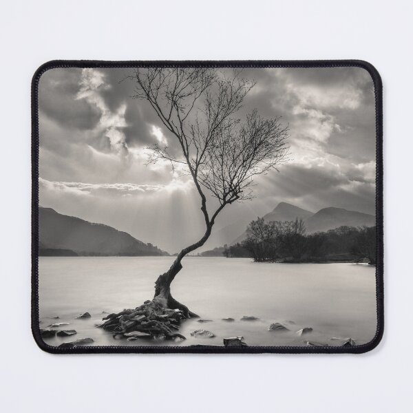 Item preview, The Lonely Tree designed and sold by David Bowman.