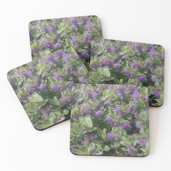 Item preview, Hebe Flowers designed and sold by Tanya C  Smith.