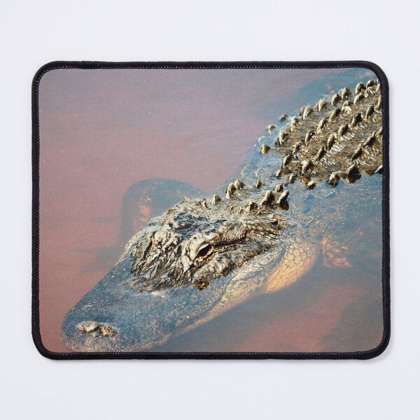 Item preview, Alligator On Alert designed and sold by Cynthia48.