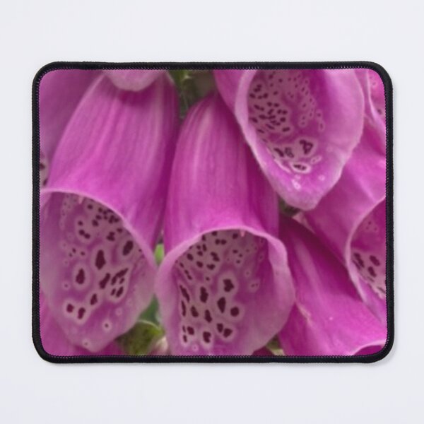Item preview, Funnel flower designed and sold by ClaireRequa.