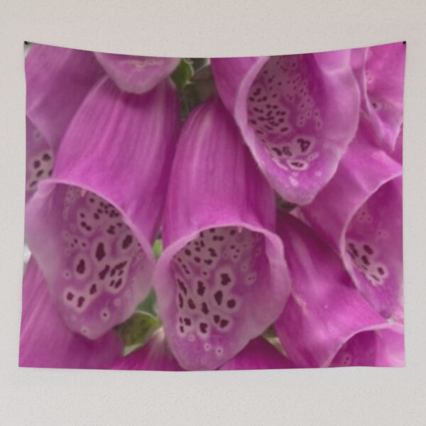Item preview, Funnel flower designed and sold by ClaireRequa.