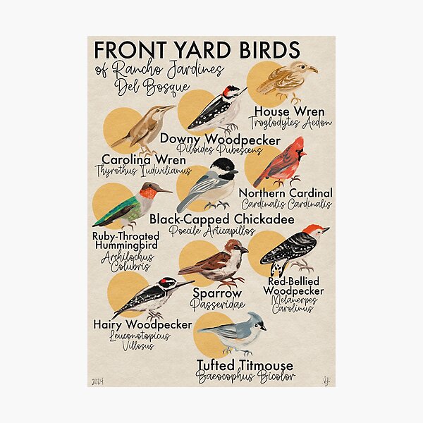 Item preview, Front Yard Birds of Rancho Jardines Del Bosque designed and sold by BetsyEDesign.