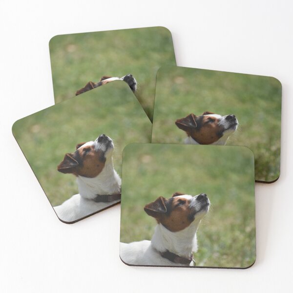 Item preview, Little sniffer designed and sold by Tonia Delozier's Photography .