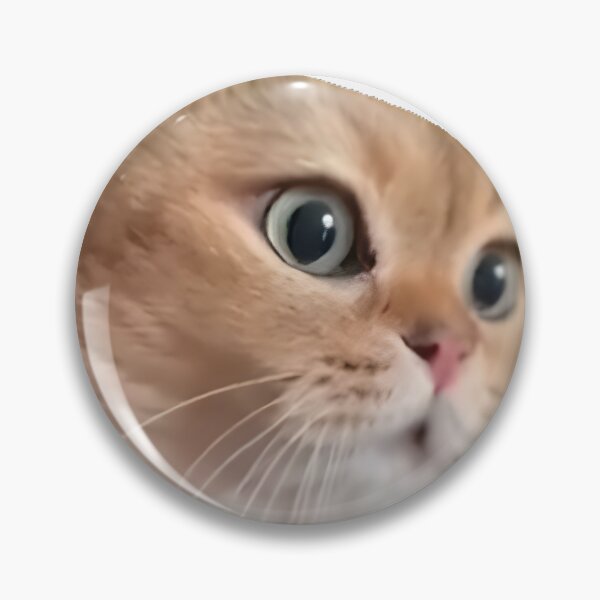 Artikelvorschau, Sprechende Katzen Meme entworfen und verkauft von ArtByDall.