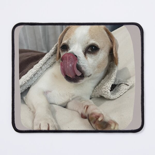Item preview, Dog Tasty Treat was Delicious, Puggle Just Sayin! designed and sold by Purposemaster.