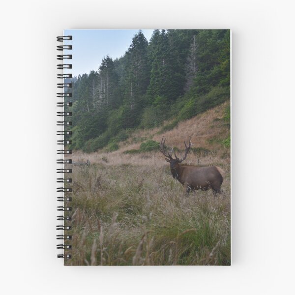Item preview, Roosevelt elk, Mendocino County, California designed and sold by Mike Kunes.
