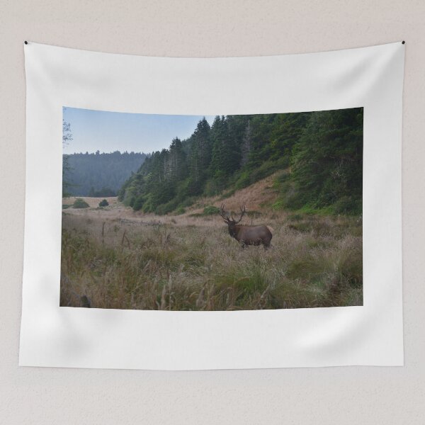 Item preview, Roosevelt elk, Mendocino County, California designed and sold by Mike Kunes.