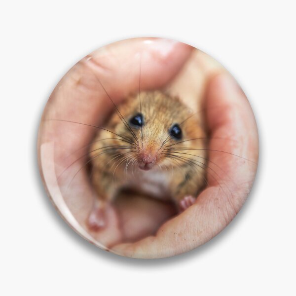 Item preview, "Hazel dormouse" designed and sold by Andreas Koerner.