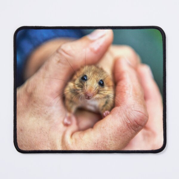 Item preview, "Hazel dormouse" designed and sold by Andreas Koerner.