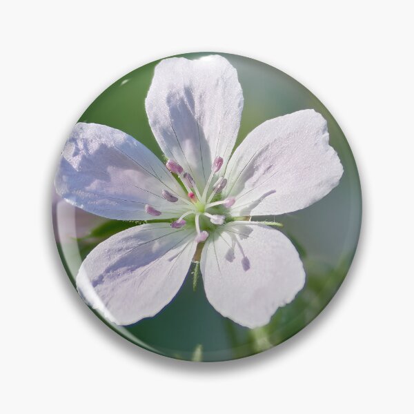 Item preview, Softly fading Wood cranesbill designed and sold by Jouko Lehto Photography.