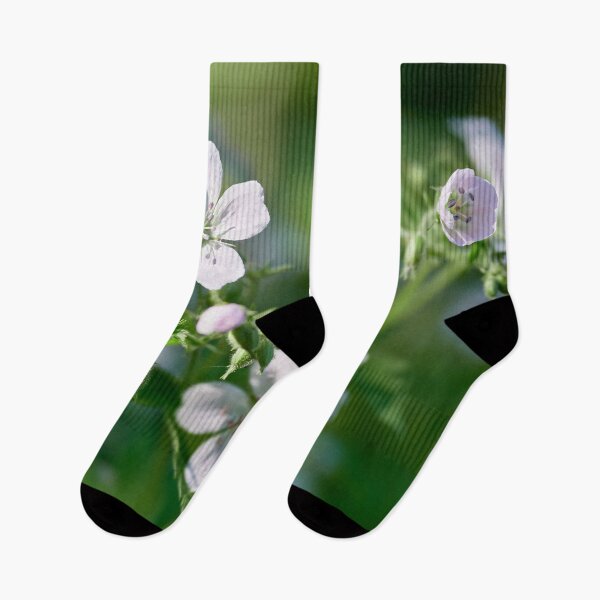 Item preview, Softly fading Wood cranesbill designed and sold by Jouko Lehto Photography.