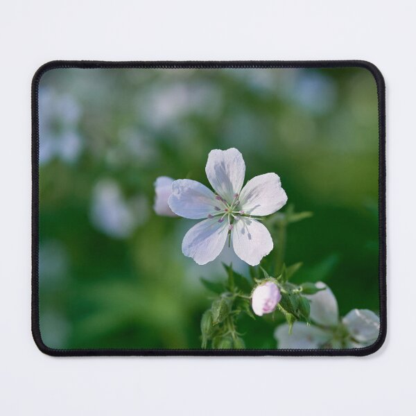 Item preview, In the morning light. Wood cranesbill designed and sold by Jouko Lehto Photography.