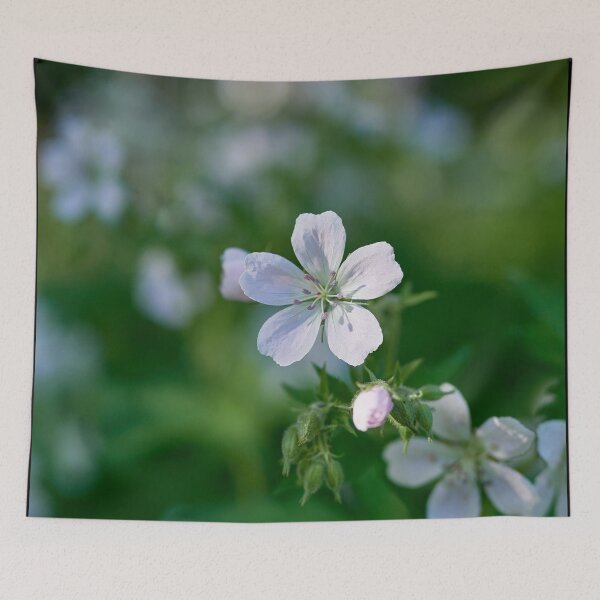 Item preview, In the morning light. Wood cranesbill designed and sold by Jouko Lehto Photography.