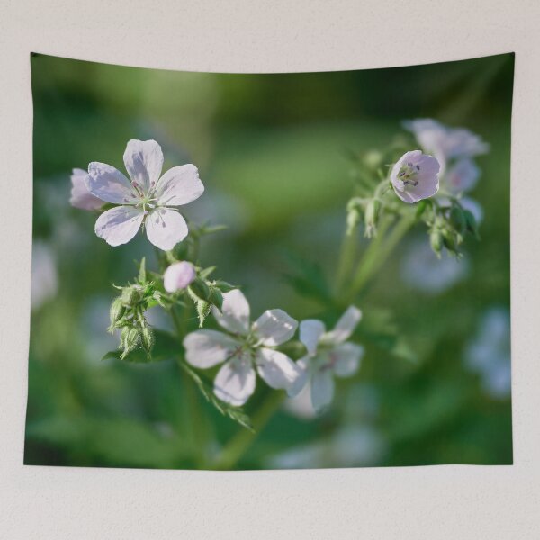 Item preview, Softly fading Wood cranesbill designed and sold by Jouko Lehto Photography.