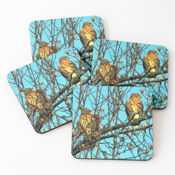 Item preview, Winter Red-shoulder Hawks designed and sold by gistinker.