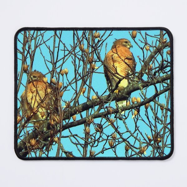 Item preview, Winter Red-shoulder Hawks designed and sold by gistinker.