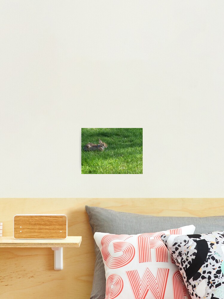 Thumbnail 2 of 3, Photographic Print, Spring Rabbit designed and sold by CalliopeSoul.