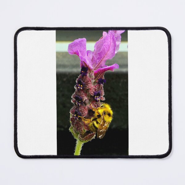 Item preview, Lavender Bee Love designed and sold by Kirsten Ellingford.