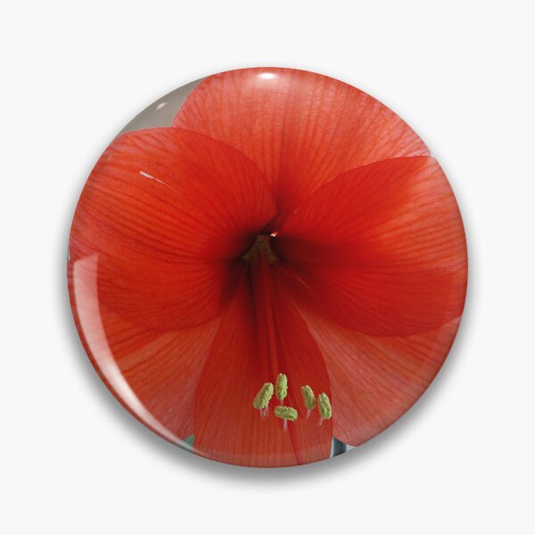 Item preview, Dawn designed and sold by voelzis.