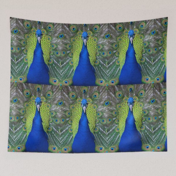 Item preview, Peacock Portrait designed and sold by Jenny Brice.