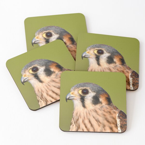Item preview, American Kestrel in Profile  designed and sold by richardbryce.