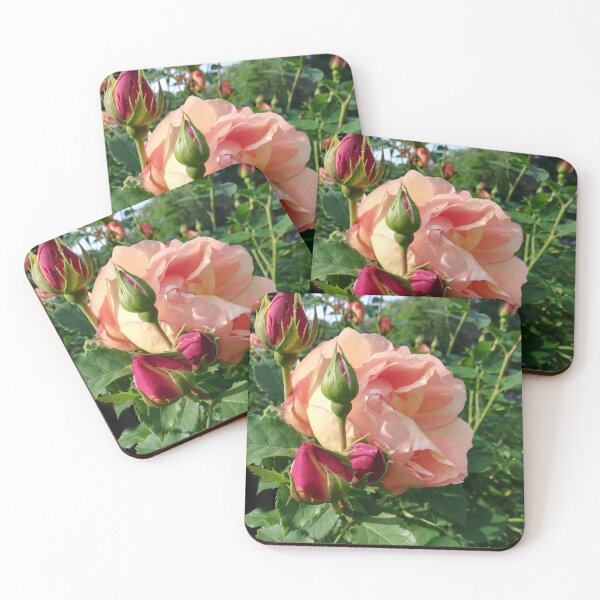 Item preview, Pink rose photograph  designed and sold by esvb.
