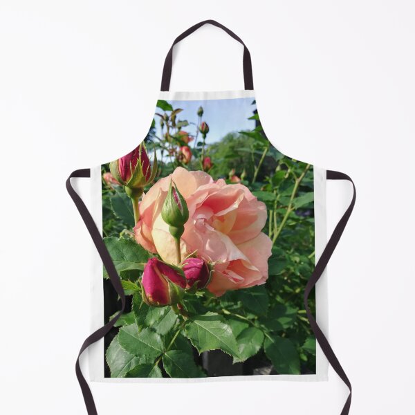 Item preview, Pink rose photograph designed and sold by esvb.