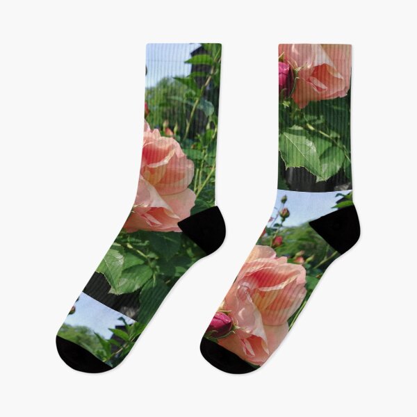Item preview, Pink rose photograph  designed and sold by esvb.