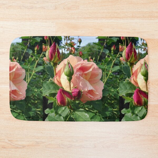 Item preview, Pink rose photograph  designed and sold by esvb.