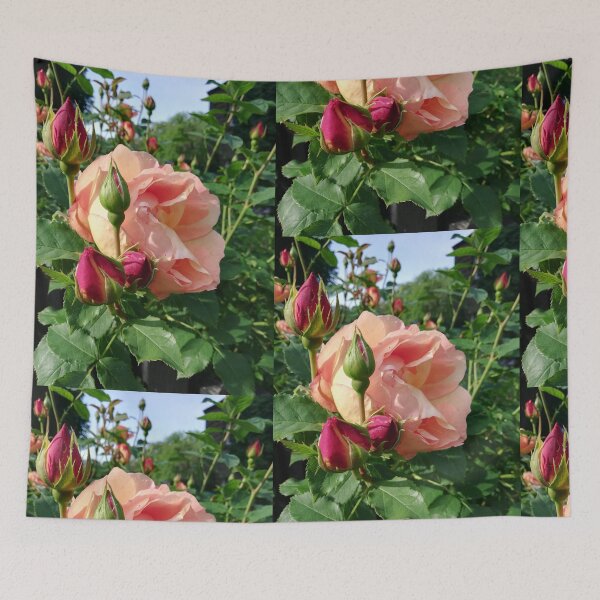 Item preview, Pink rose photograph  designed and sold by esvb.