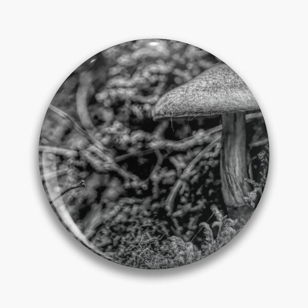 Item preview, Mushroom on Agawa Bay Trail, Lake Superior, BW designed and sold by jrtwynam.